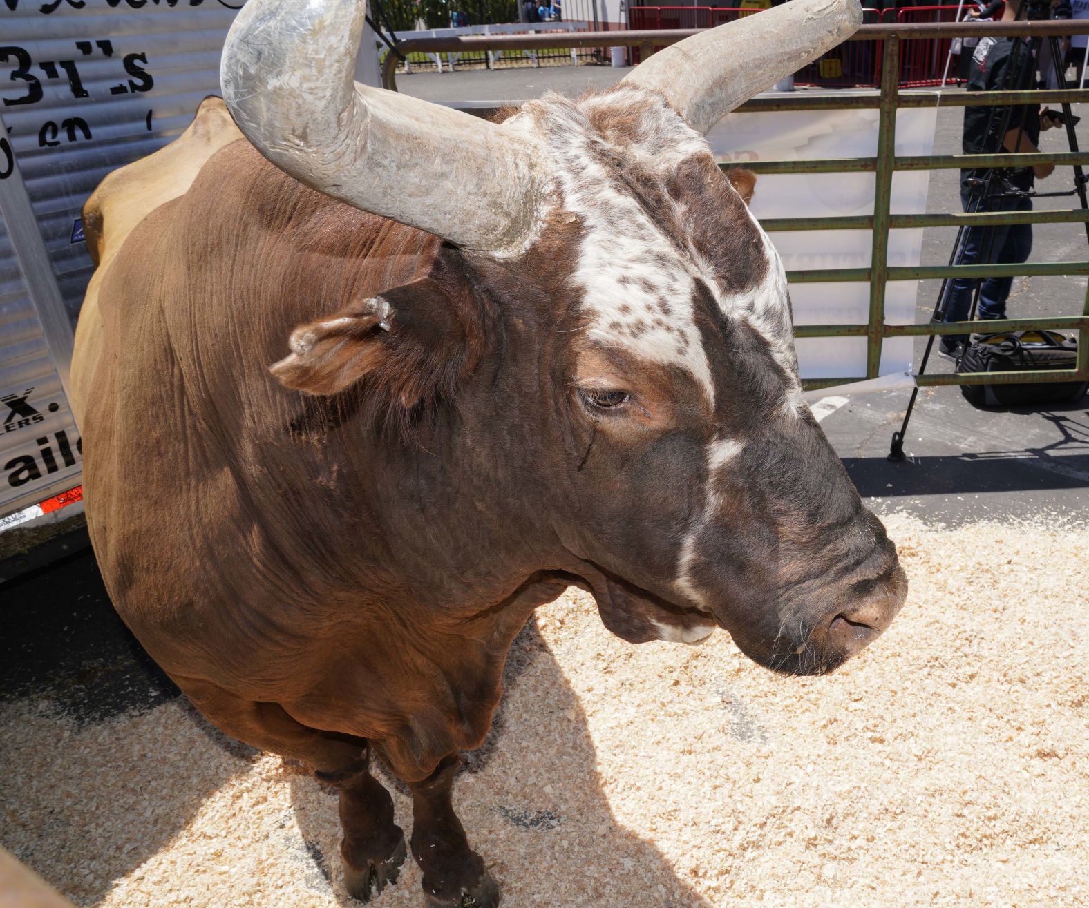 071019 Bushwacker 03.jpg